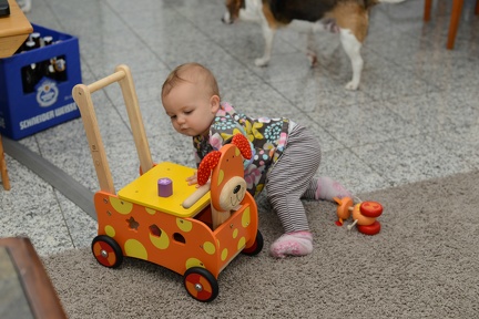 Greta s New Push Cart2